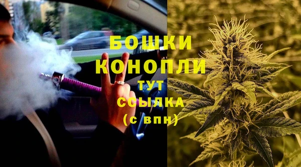 тгк Абаза